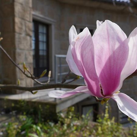 Alvores Do Tempo - Quinta De Turismo Rural Guest House Castro Daire Exterior photo