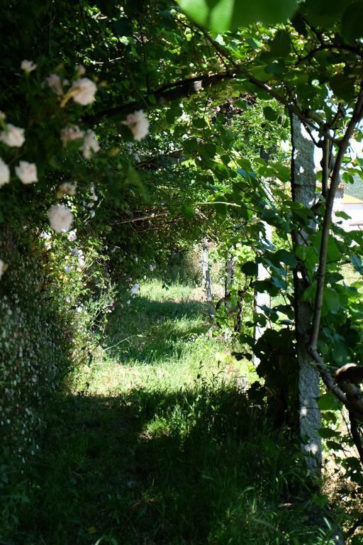 Alvores Do Tempo - Quinta De Turismo Rural Guest House Castro Daire Exterior photo