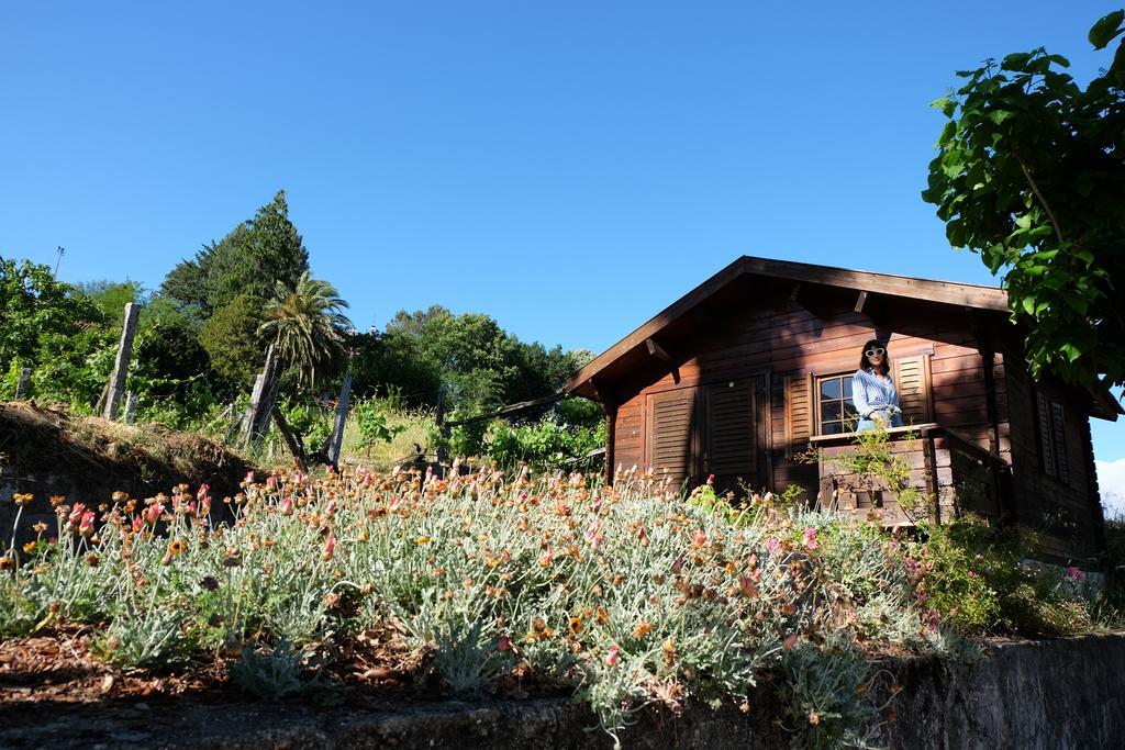 Alvores Do Tempo - Quinta De Turismo Rural Guest House Castro Daire Exterior photo