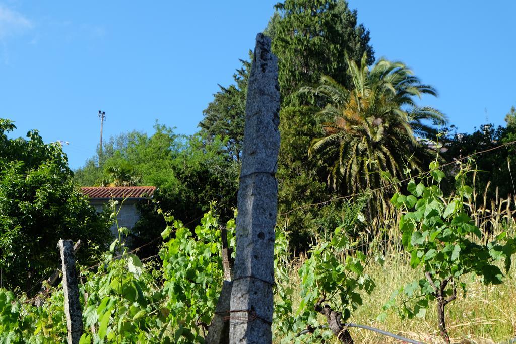 Alvores Do Tempo - Quinta De Turismo Rural Guest House Castro Daire Exterior photo